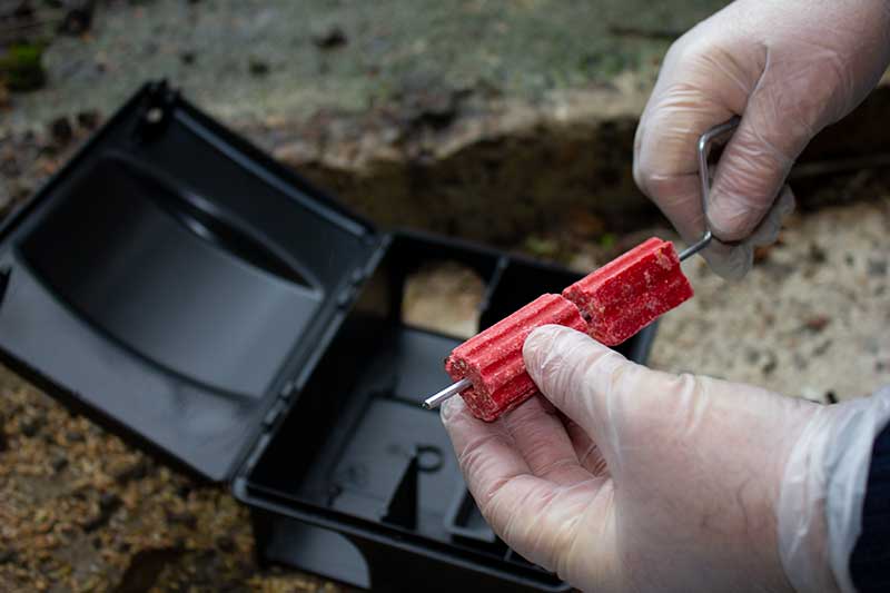 Mise en place poste appatage