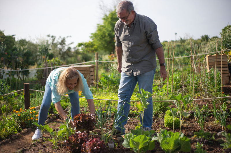 Les bêtes du jardin