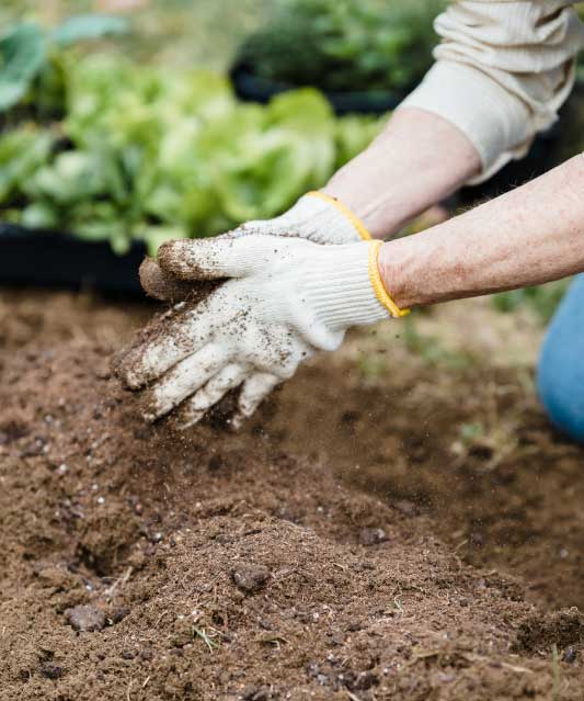 entretien du compost